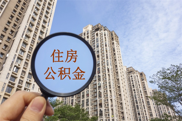 苍南怎么把公积金全部取出来（如何将公积金全部取出）